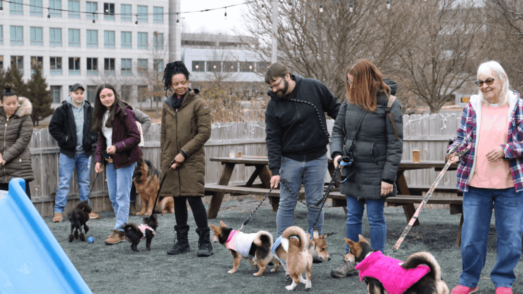 52.Shipgarten _ McLean