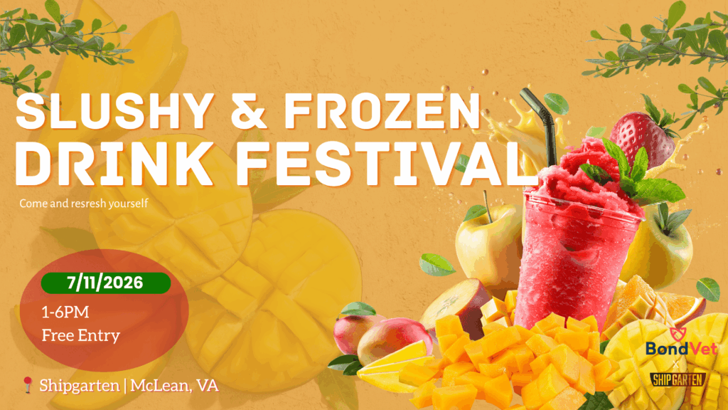 BondVet Presents Slushy and Frozen Drink Festival at Shipgarten